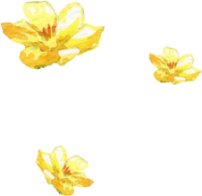 サービス