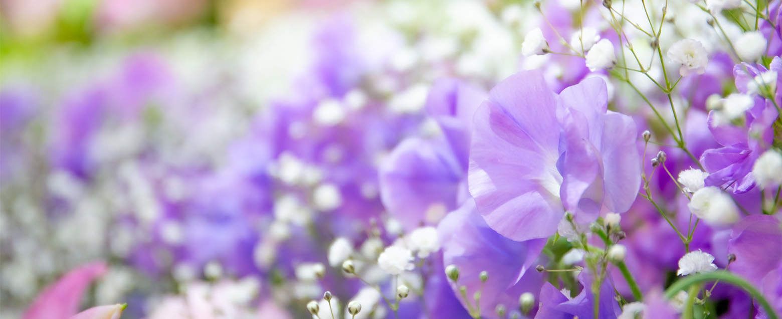 セレモニーの祭壇生花や、供花(スタンド生花)花束、アレンジメント、など迅速に対応できます。