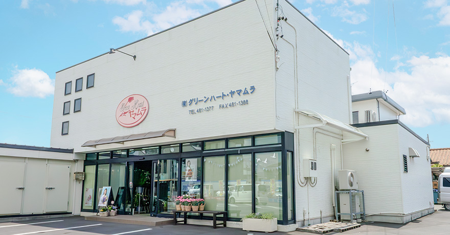 グリーンハート・ヤマムラ 本店